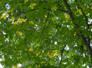 DSCN9937