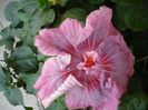 P1180437