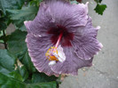 P1180443