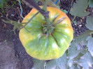 BEEFSTEAK-HAWAIIAN PINEAPLE