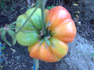 BEEFSTEAK-HAWAIIAN PINEAPLE
