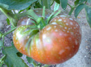 BLACK KRIM