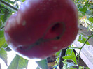 BLACK KRIM