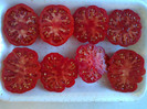 COSTOLUTO FIORENTINO