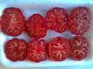 COSTOLUTO FIORENTINO