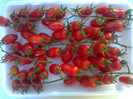 SAN MARZANO