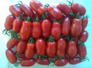 SAN MARZANO
