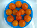 GOLDENE KONIGIN