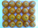GOLDENE KONIGIN