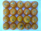 GOLDENE KONIGIN