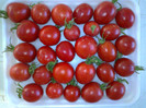 CHERRY GRANDE