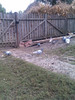 IMAG0495