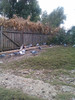 IMAG0496