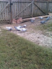 IMAG0499