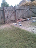 IMAG0500