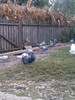 IMAG0507
