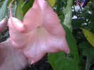 Fotografie0182