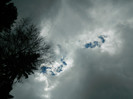 DSCN0088