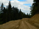 DSCN0106