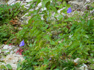 DSCN0115