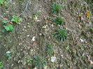 DSCN0116