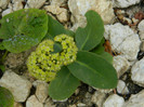 DSCN0129