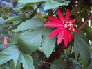 DSC00555