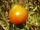 P1070532