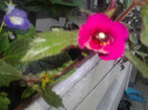2012-09-11 09.52.35