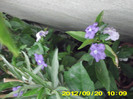2012-07-08 390