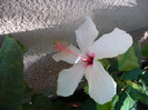 P1180467
