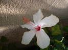 P1180468