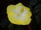 2012-09-11 13.35.13