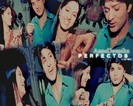 fvFLV