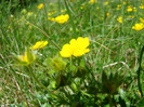 DSC09240