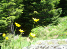DSC09241