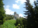 DSC09249