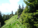 DSC09252