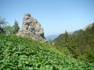 DSC09254