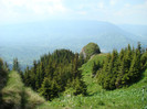 DSC09261