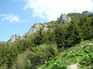 DSC09265