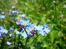 DSC09267