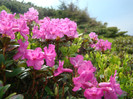 DSC09279