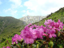 DSC09280