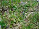 DSC09286