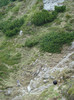 DSC09290