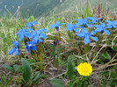 DSC09291