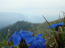 DSC09295