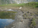 DSC09317