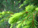 DSC09408